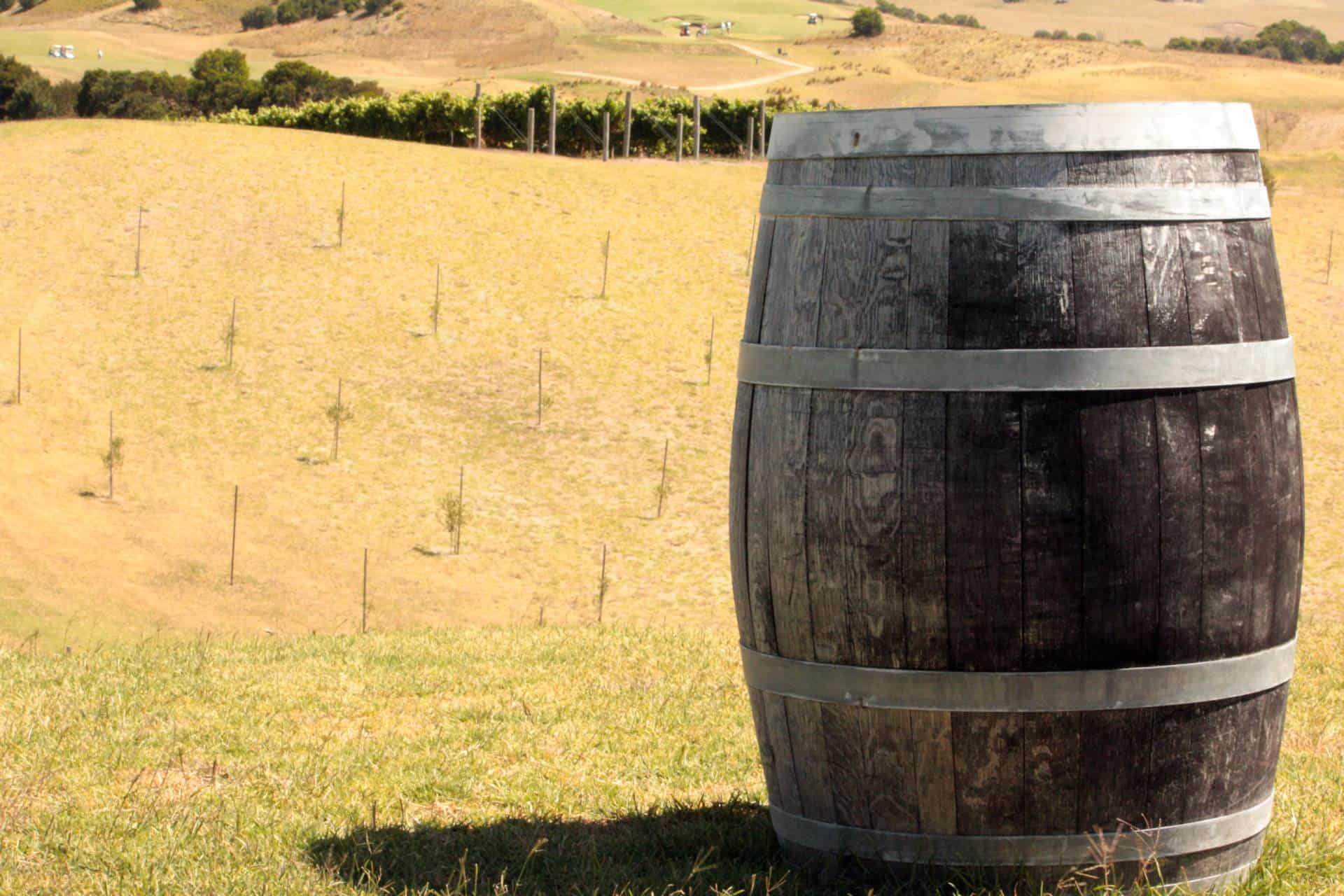 Pourquoi vous aussi, vous devez manger des grenouilles - Partie 2