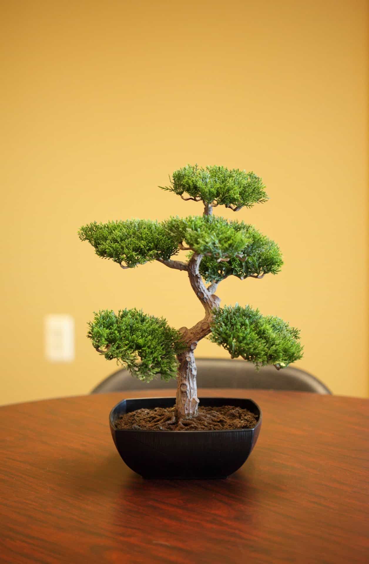 Se recentrer : le pouvoir du focus