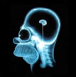 Habitude succès numéro 4 : la bonne utilisation de son cerveau