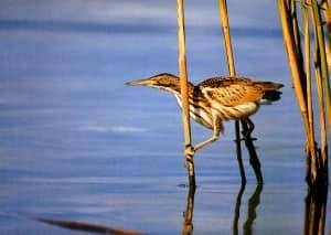 Habitude succès numero 1 : la proactivité