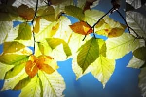 Voici 3 signes que vous devriez parler objectifs