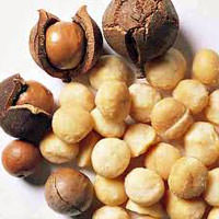 Les noix de macadamia sont bénéfiques pour le coeur