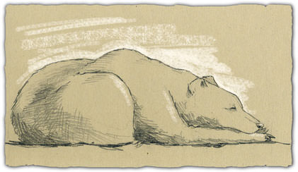 Un sommeil réparateur vous aide à perdre du poids